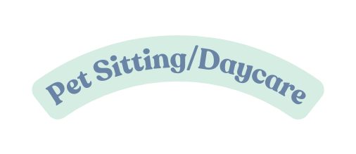 Pet Sitting Daycare